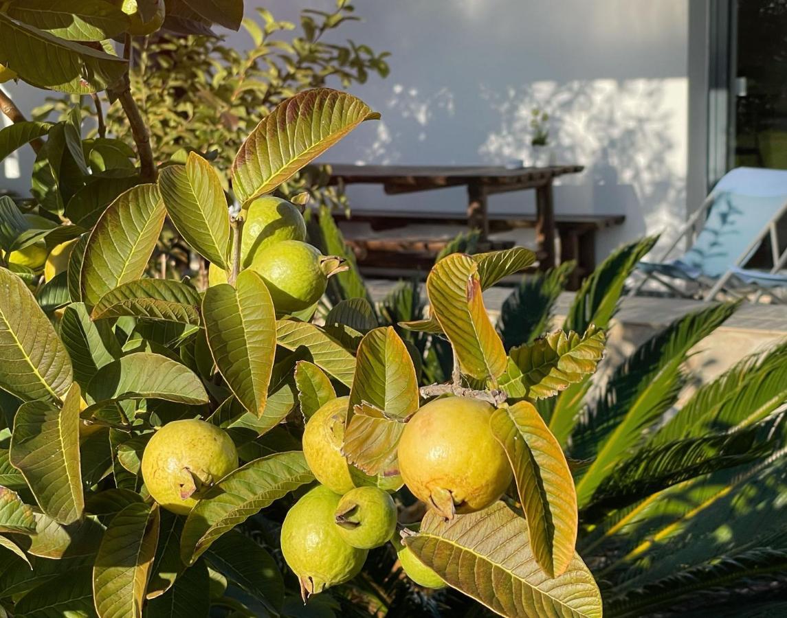 Herdade Do Kuanza زامبوجيرا دو مار المظهر الخارجي الصورة